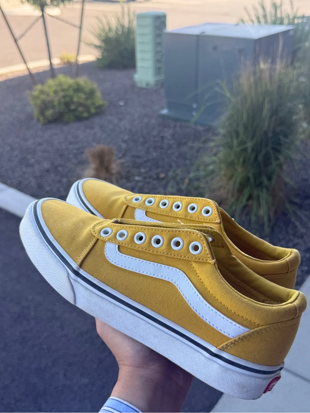 Vans Yellow Canvas Low-Top Sneakers